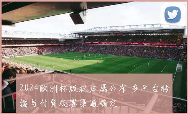 2024欧洲杯版权归属公布 多平台转播与付费观赛渠道确定