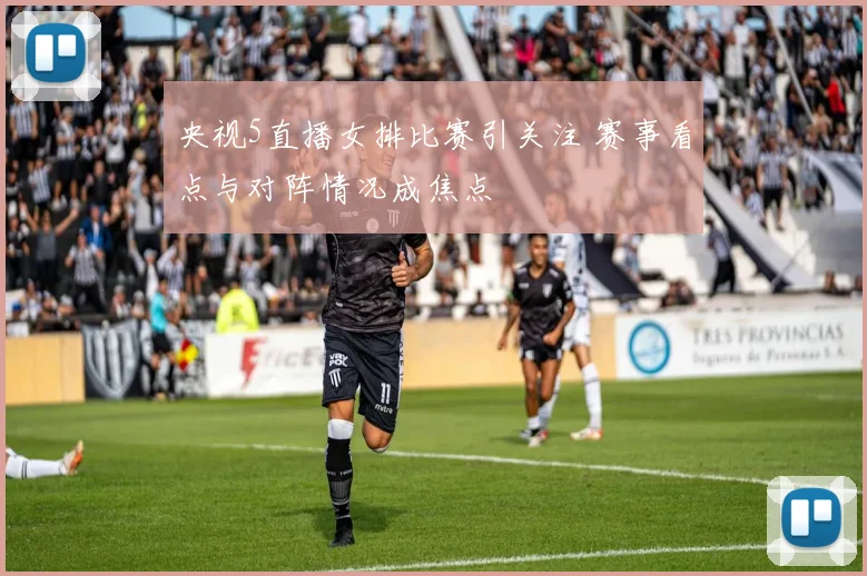 央视5直播女排比赛引关注 赛事看点与对阵情况成焦点