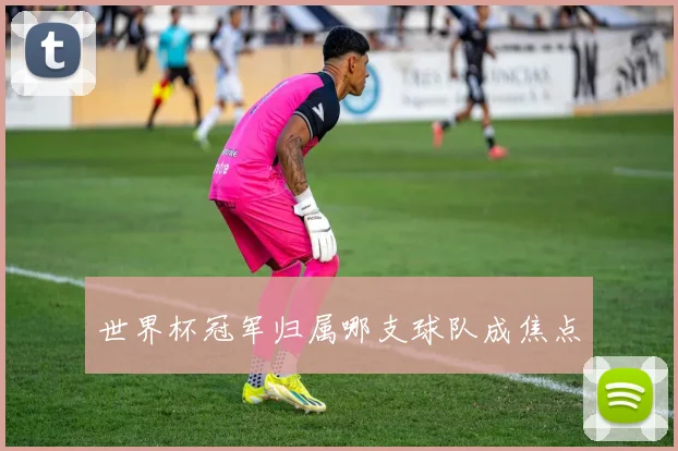 世界杯冠军归属哪支球队成焦点