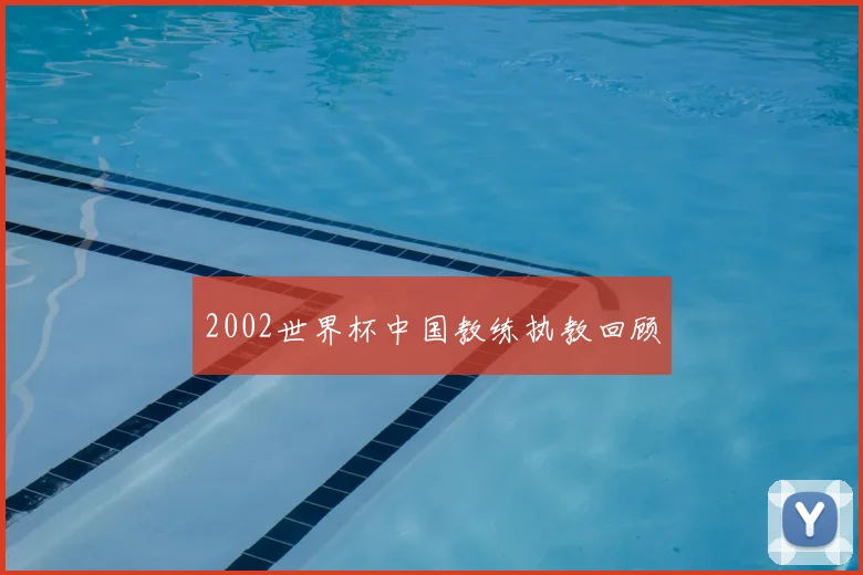2002世界杯中国教练执教回顾