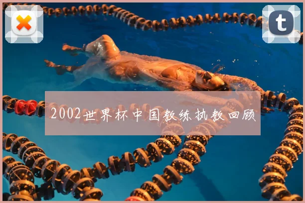 2002世界杯中国教练执教回顾