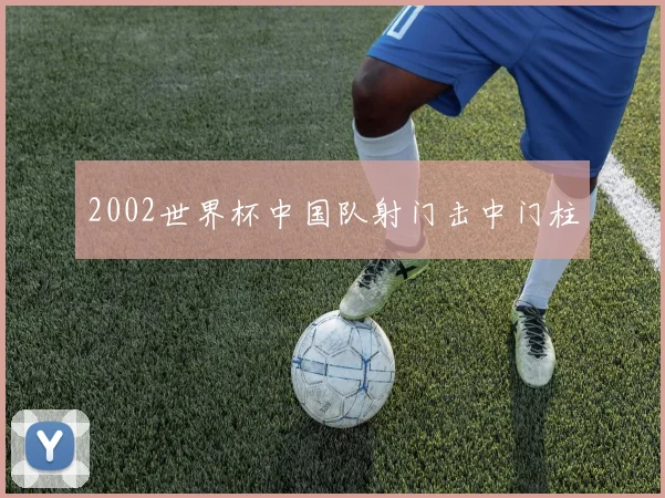 2002世界杯中国队射门击中门柱