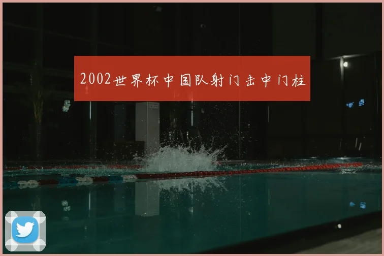 2002世界杯中国队射门击中门柱
