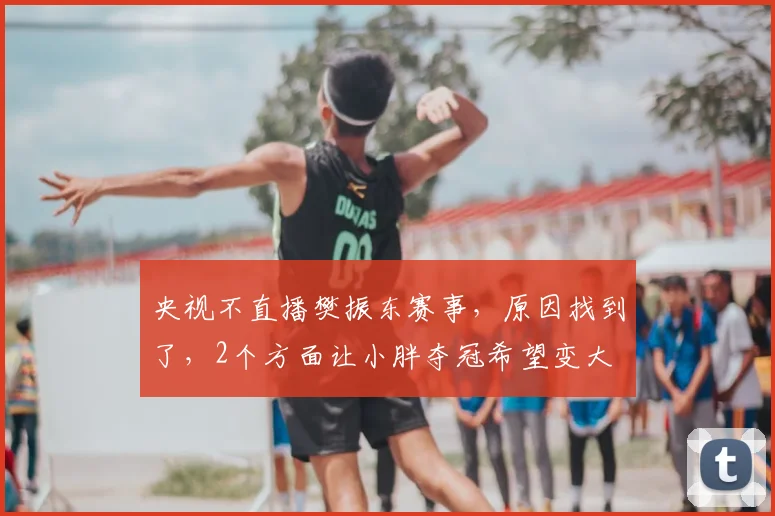 央视不直播樊振东赛事,原因找到了,2个方面让小胖夺冠希望变大